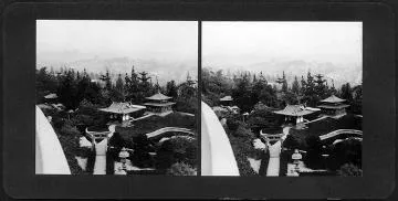 "Miniature Japanese garden, Hollywood, California" : Stereograph