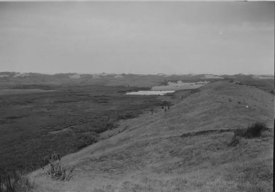 Dune Belt West of Lake Horowhenua