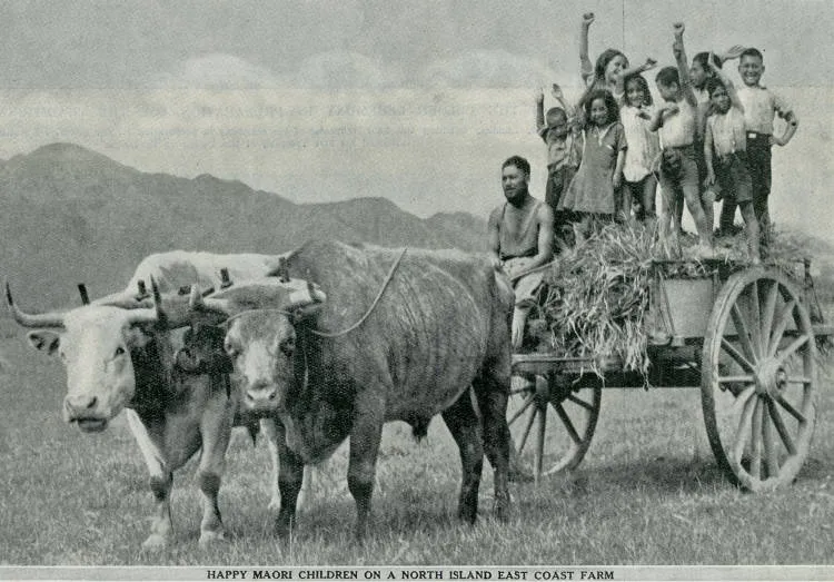Happy Māori children on a North Island East Coast farm