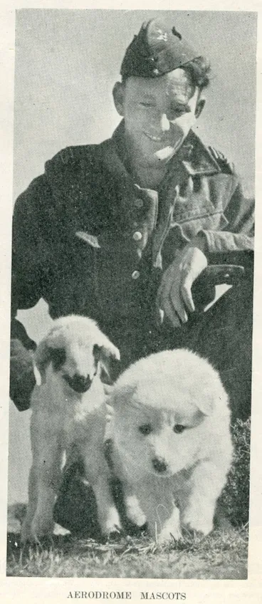 Aerodrome mascots Image: Aerodrome mascots