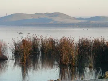 Lake Horowhenua Image: Lake Horowhenua