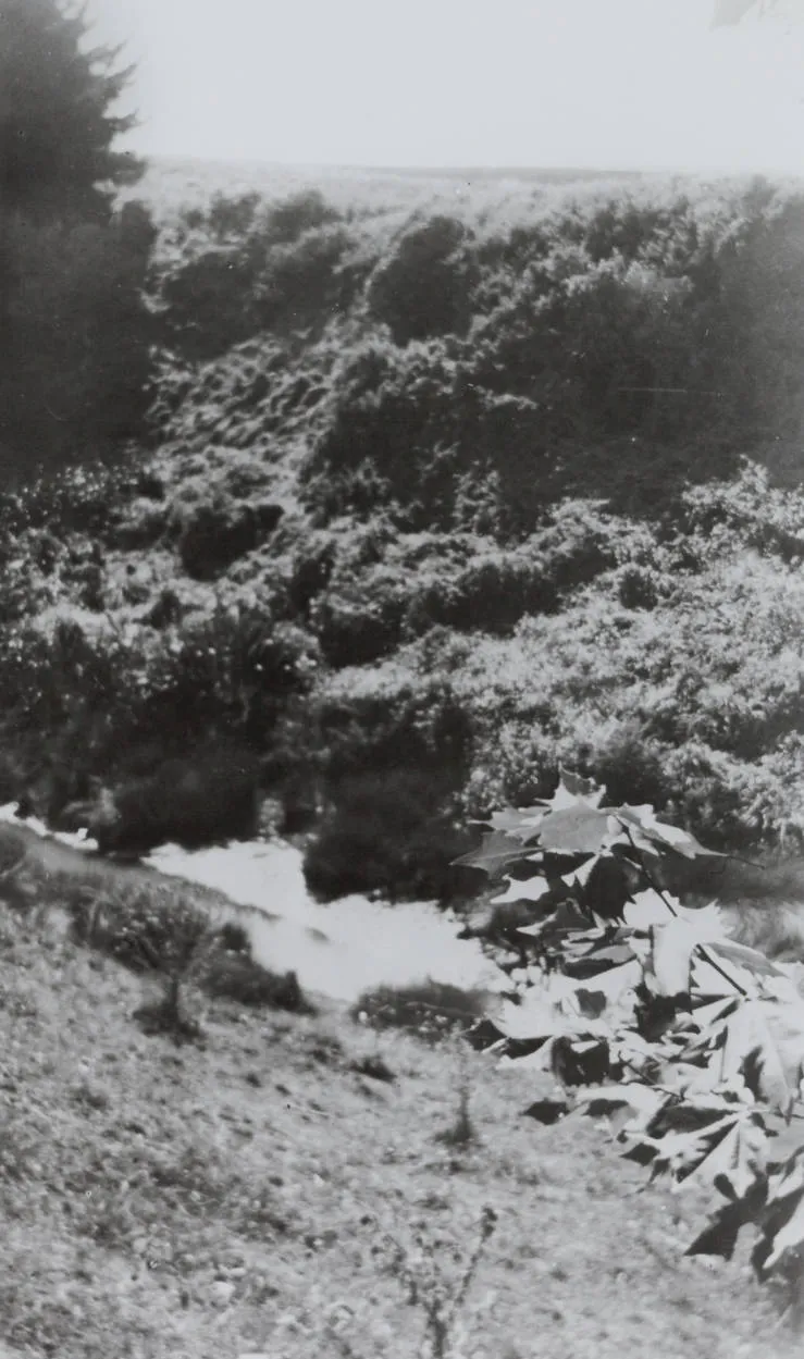 Pa site, Papatoetoe, 1948.