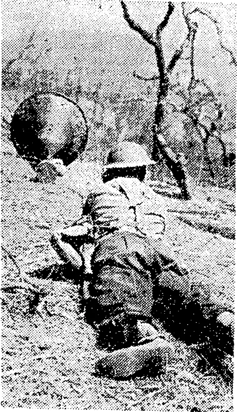 tma-xWTTiVJ To avoid needless bloodshed cornered Japanese in Burma are invited to surrender by an officer of the Allied Psychological Warfare Division, ivho speaks Japanese fluently and uses a portable amplifier. (Evening Post, 04 December 1944)