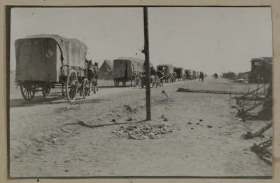 String of Horse Ambulances.