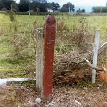 Papawai whakapakoko: Photograph