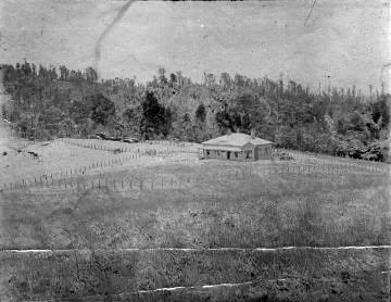 Te Rangitumau homestead : photograph