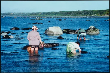 Image: Waipapa, Motunui, Ngati Rahiri. From: Te iwi o te wahi kore