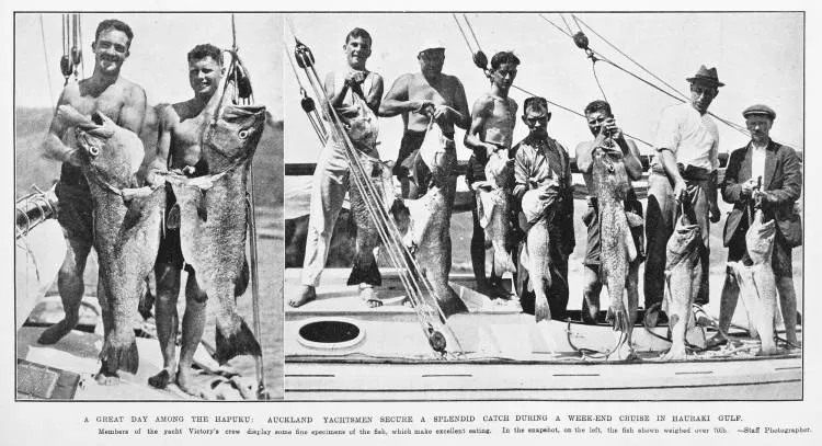 A great day among the hapuku: Auckland yachtsmen secure a splendid catch during a week-end cruise in Hauraki Gulf