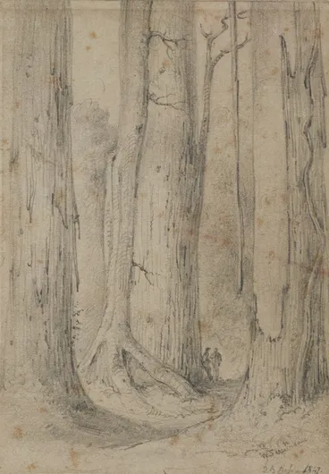 Image: Rata embracing a Totara, near Hughes, Lower Hutt.