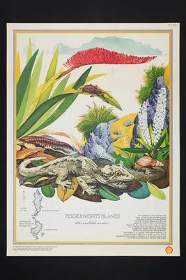 Poor Knights Islands