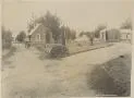 Man with three dogs standing on road amongst dwellings, Wairakei, New Zealand [picture].