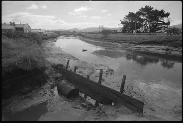 Image: Waiwhetu Stream, Lower Hutt, polluted by industrial waste