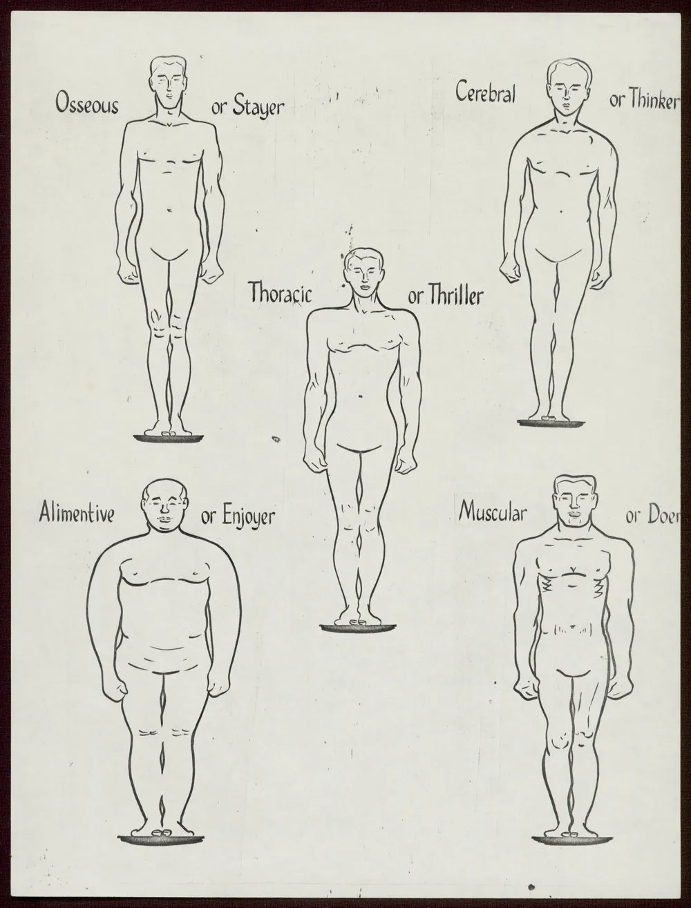 Body/personality type diagram