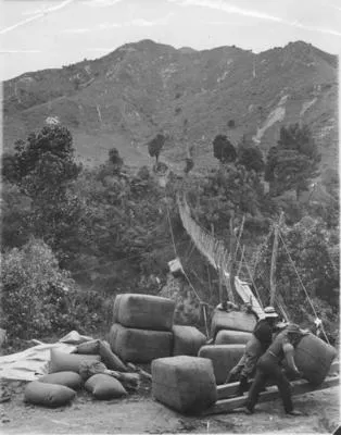 [Transporting wool bales].