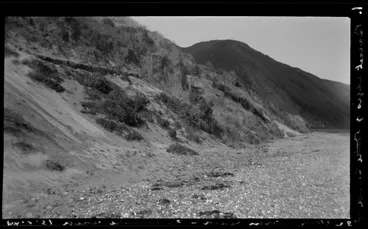 Image: Bassit cages and Otaki sand high above storm beach - Paekakariki Beach