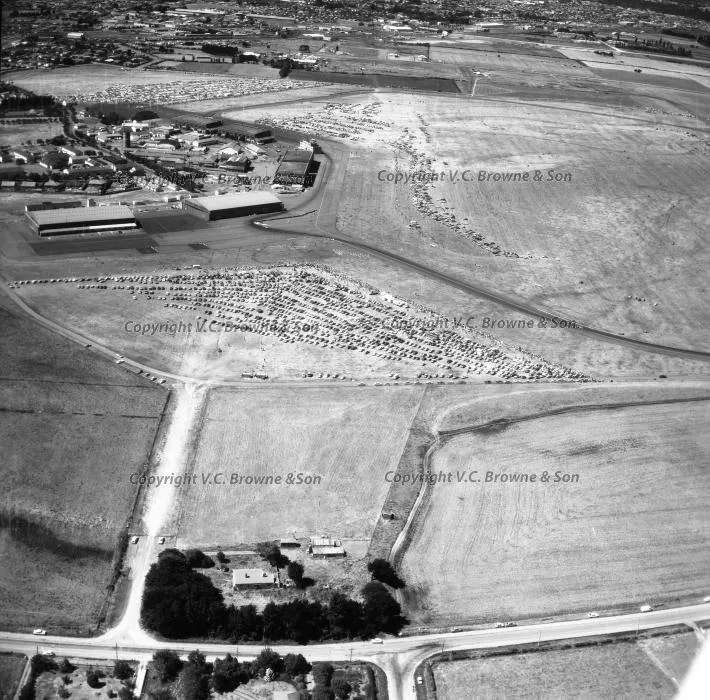 Wigram - Races - Christchurch (15167/15193)