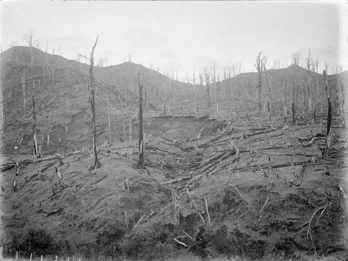 Remains of a bush burn, probably in the Stratford area