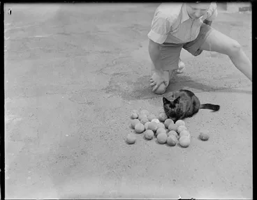 Image: Cat that collects tennis balls