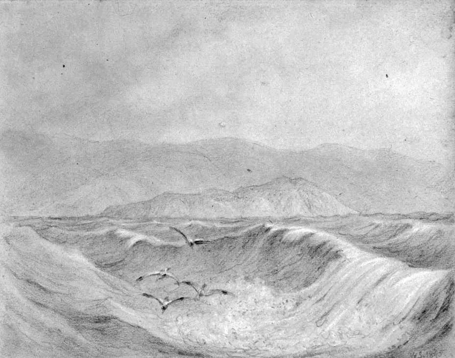 Swainson, William : [Somes Island, Wellington] 1845. Drawings & Prints Collection, Reference No. A-189-015 Alexander Turnbull Library, Wellington, New Zealand