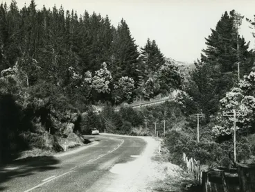 Image: Kaimai Rd, Tauranga c 1970s