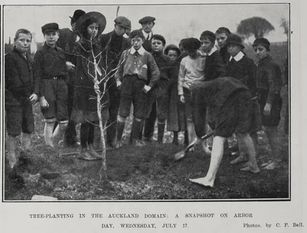 Tree-Planting In The Auckland Domain