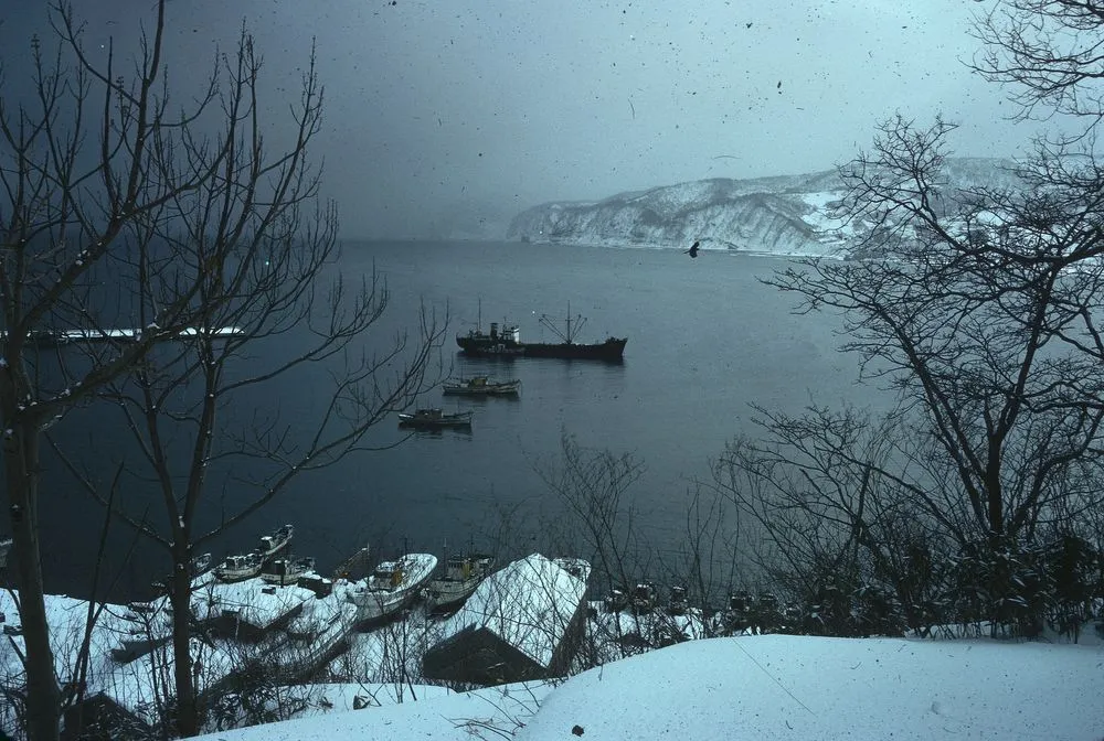 Japan Series: Furubira Fishing Port