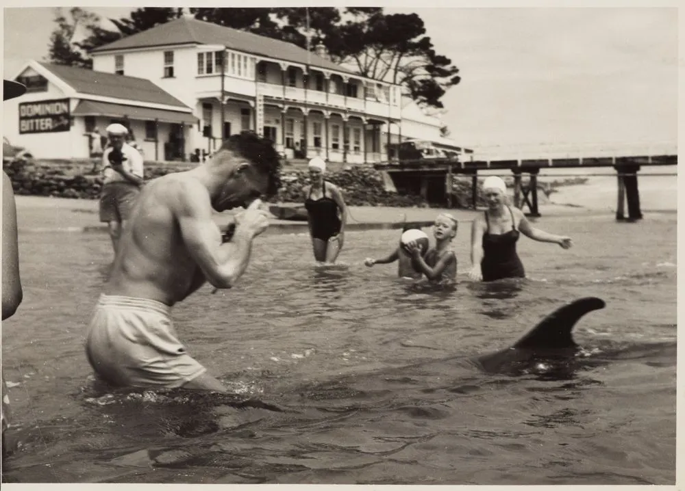 Opo the dolphin, Opononi