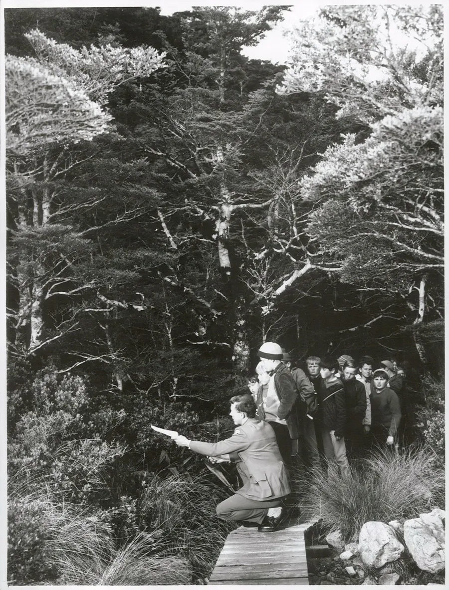 Arthurs Pass National Park - Nature Study