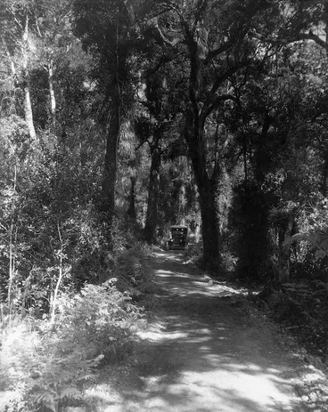 Image: Car on a road through bush, Wainuiomata