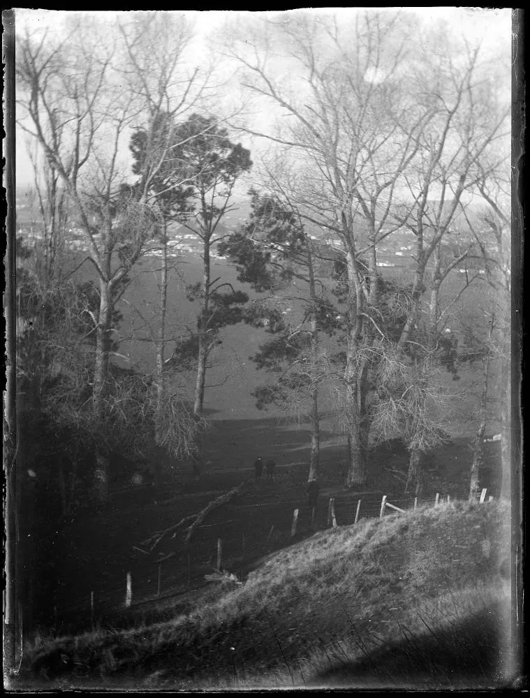 View from One Tree Hill