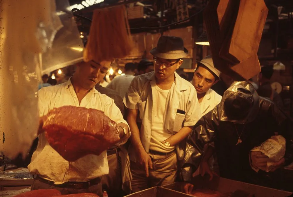 Japan Series: Fish Market