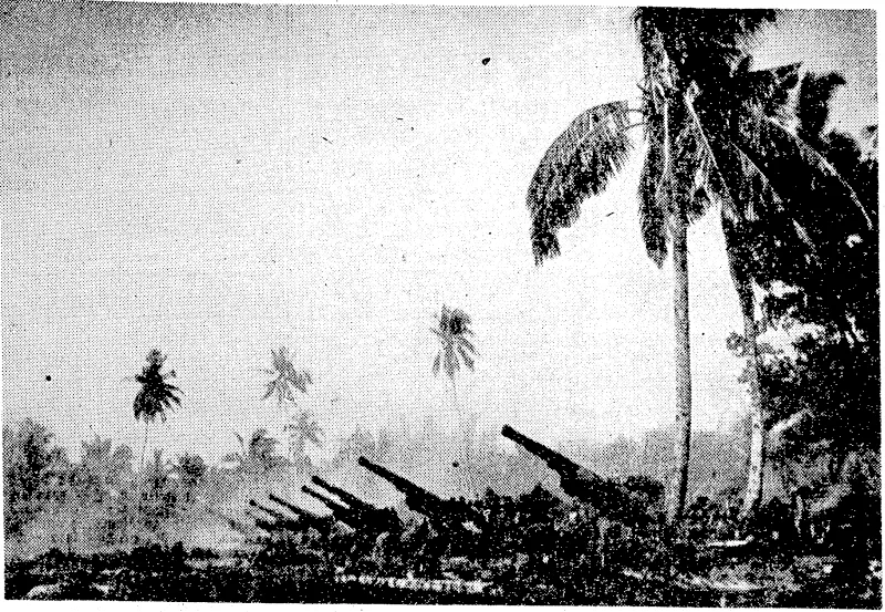 Two batteries of Bin howitzers fire a broadside of eight high-explosive shells against Japanese troops dug in at Gari-Gari, Leyte Island. (Evening Post, 14 December 1944)