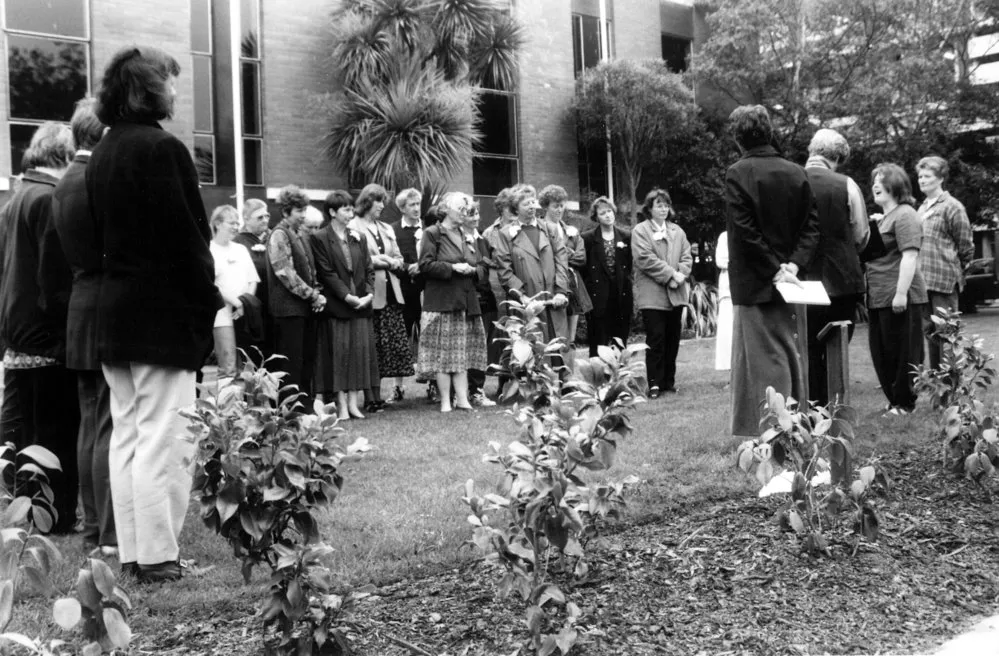 Dedication to Camellia Hedge between Hilgendorf and Burns Building