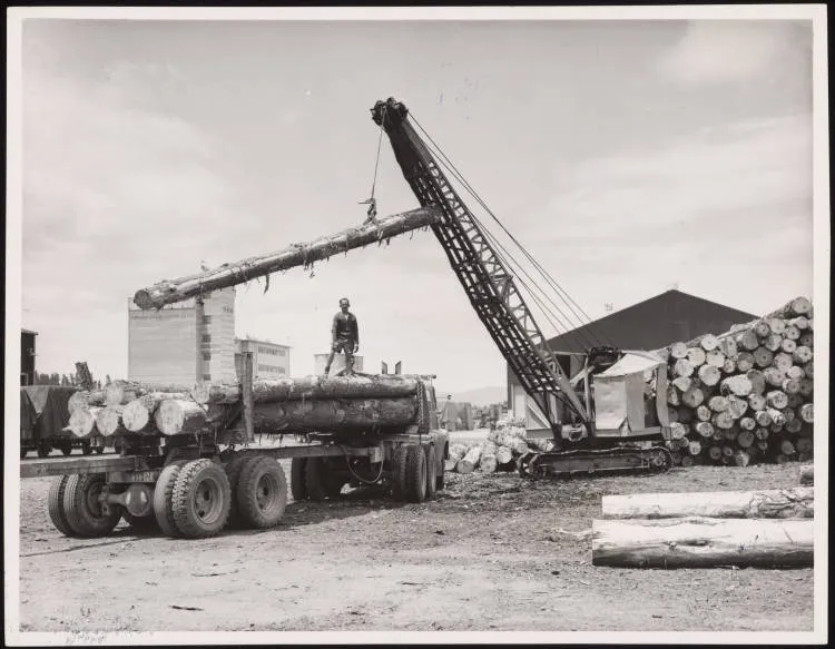 Mount Maunganui wharf