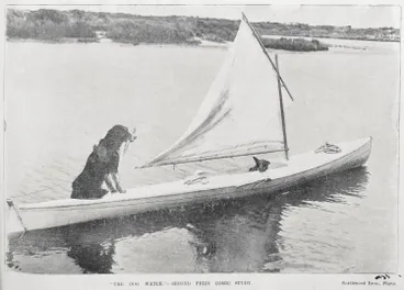 Image: 'The dog watch'-second prize comic study