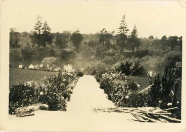 Image: Waikato River.