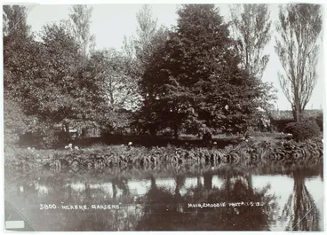 Image: Ngaere Gardens