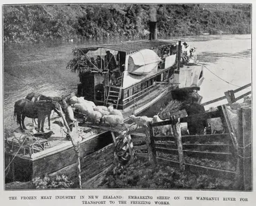 Image: The frozen meat industry in New Zealand