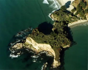 Image: Māpoutahi pā