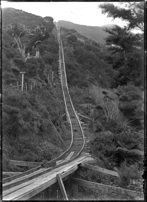 Logging railway at Karekare showing the Karekare Incline.