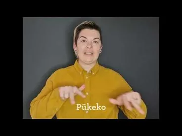 Image: New Zealand sign language - pūkeko