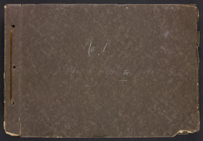 A soldier's experience of the Gallipoli campaign, April to September 1915