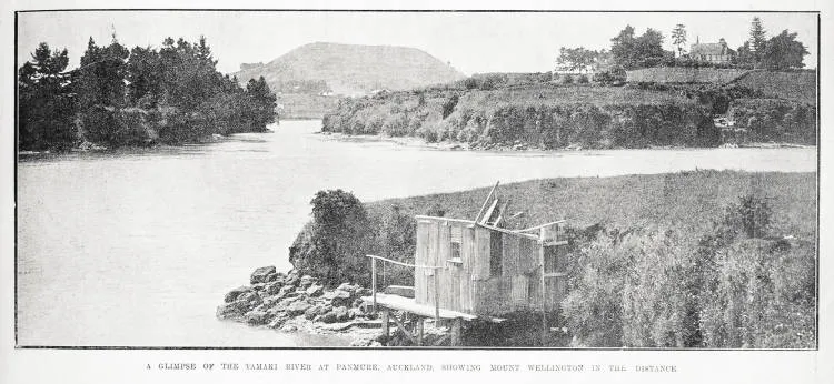 A glimpse of the Tamaki River at Panmure, Auckland, showing Mount Wellington in the distance