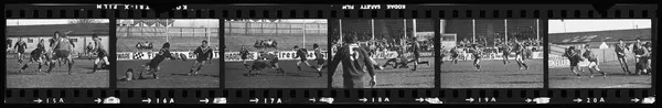 Wellington vs Canterbury rugby league match