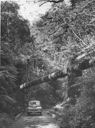 Image: Scene with supply pipe from the Wainuiomata Reservoir, Wellington region