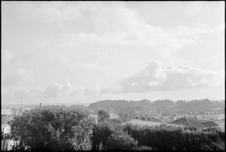 View from Hastings Hall, 99 Western Springs Road, Morningside