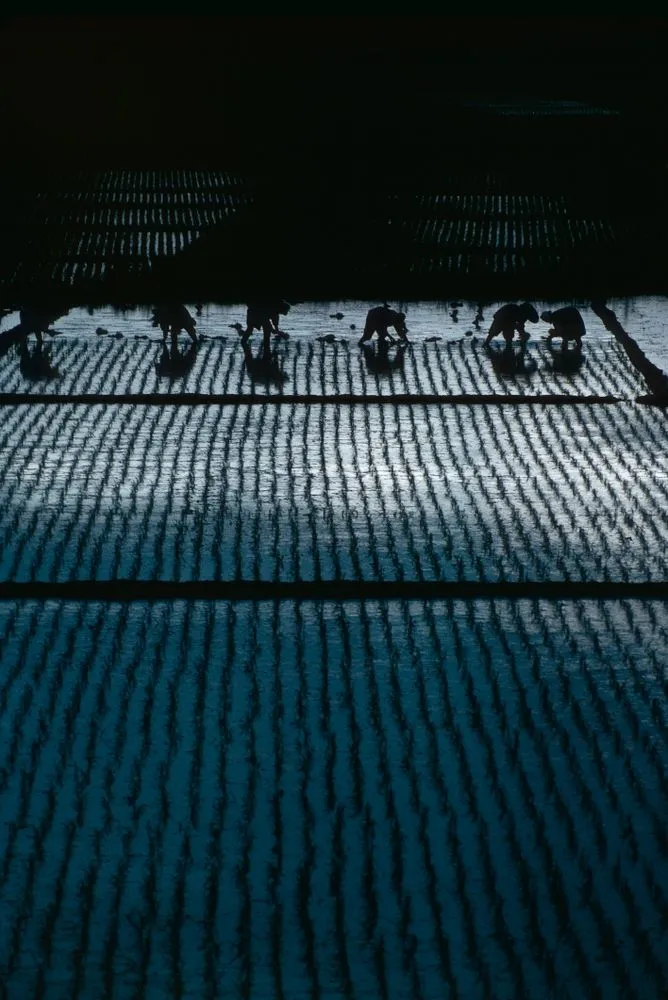 Japan Series: Landscape