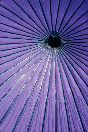 Image: Japan Series: Purple Umbrella