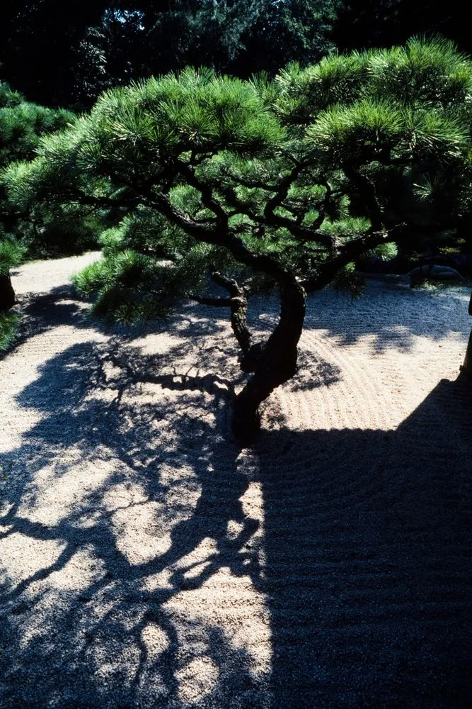 Japan Series: Ritsurin Park, Takamatsu,