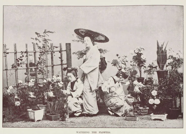 Watering the flowers